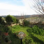 Panorama *