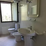 Panorama *