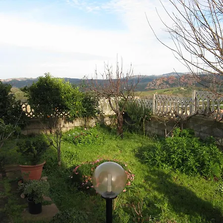 Panorama *